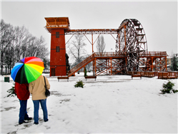 https://sakarya.bel.tr/ Sakarya şehir merkezinin yaklaşık 60 km. kuzeyinde yer  alan Acarlar Longozuinde yeme-içme tesisleri, piknik  ve park alanları ile longozu keşfedebilmek için ahşap  bir yürüyüş yolu bulunmaktadır. Sakarya’da görülecek  doğal güzelliklerin başında gelen Acarlar Longozu,  özellikle bahar aylarında endemik bitkilerin ortaya  çıkmasıyla birlikte ziyaretçilerine görsel bir şölen  sunmaktadır