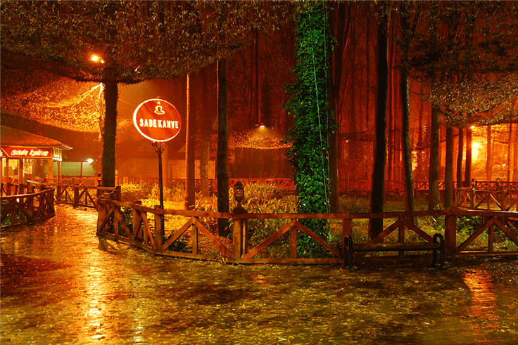 4 mevsim orman keyfi burada