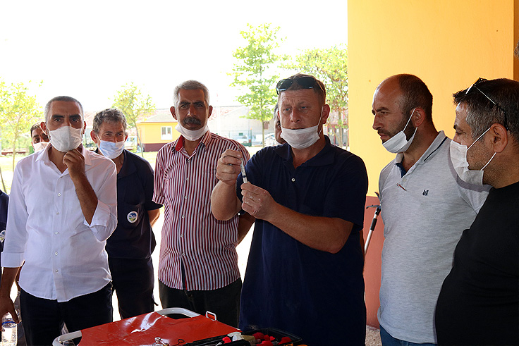Sahipsiz sokak hayvanları için ortak hareket