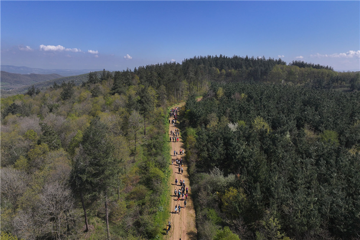 10 kilometre boyunca gördükleri her bir ayrıntıya hayran kaldılar