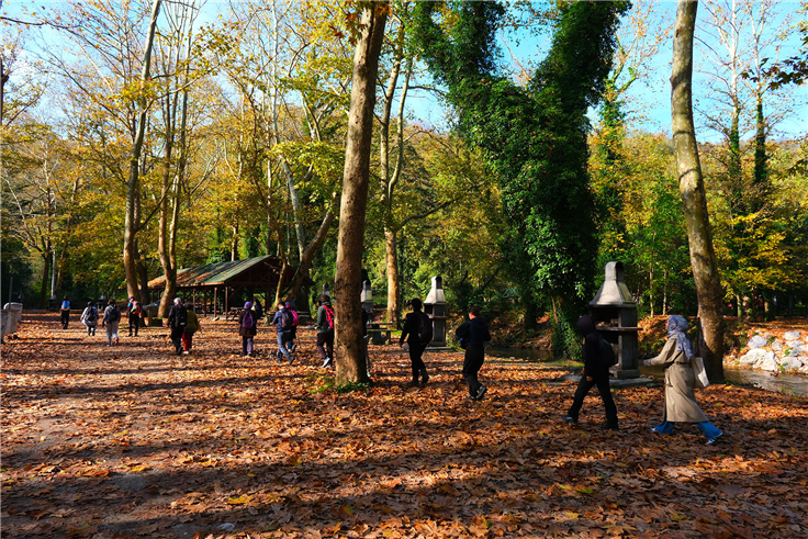 Kuzeyin tabiat harikaları arasında unutulmaz bir sonbahar yürüyüşü