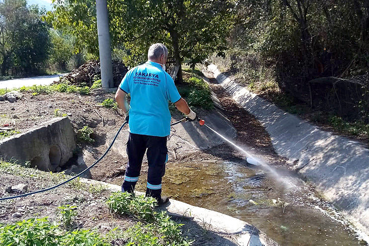 Sapanca’da Asya Kaplan Sivrisineğine karşı mücadele