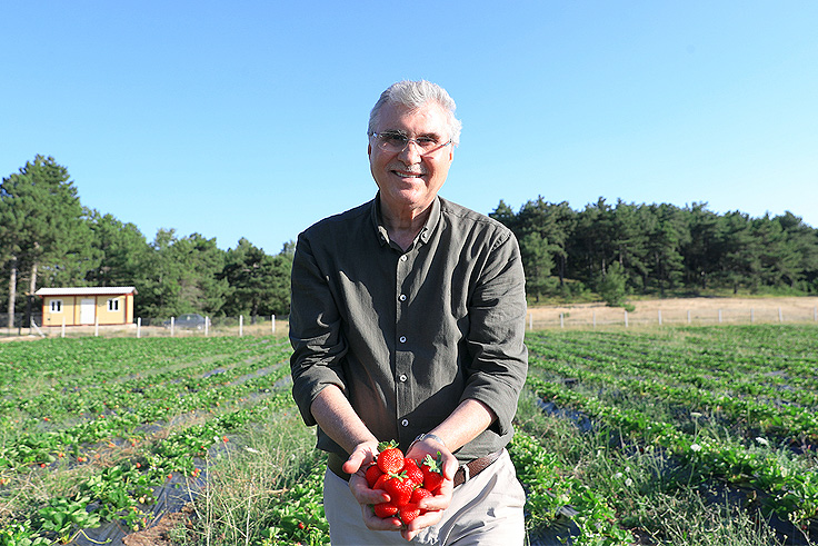 “El emeği çileklerimiz işletmecilerden yoğun bir rağbet görüyor”