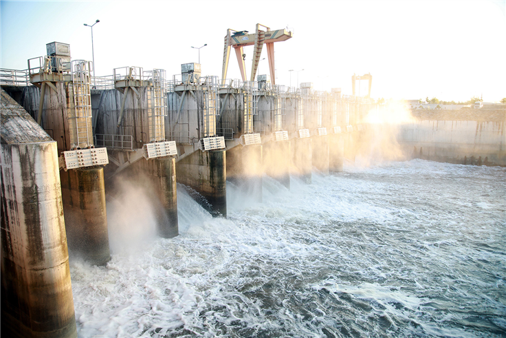 SASKİ 716 bin ağaç dikimine eş değer üretim ile 114 milyon liralık gelir elde etti