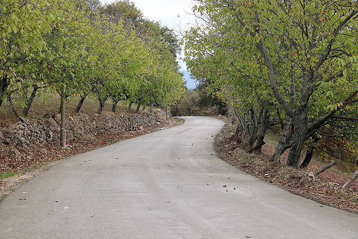 “Akyazı’da 50 kilometrelik güzergâhlar beton yol ile yenilenecek”