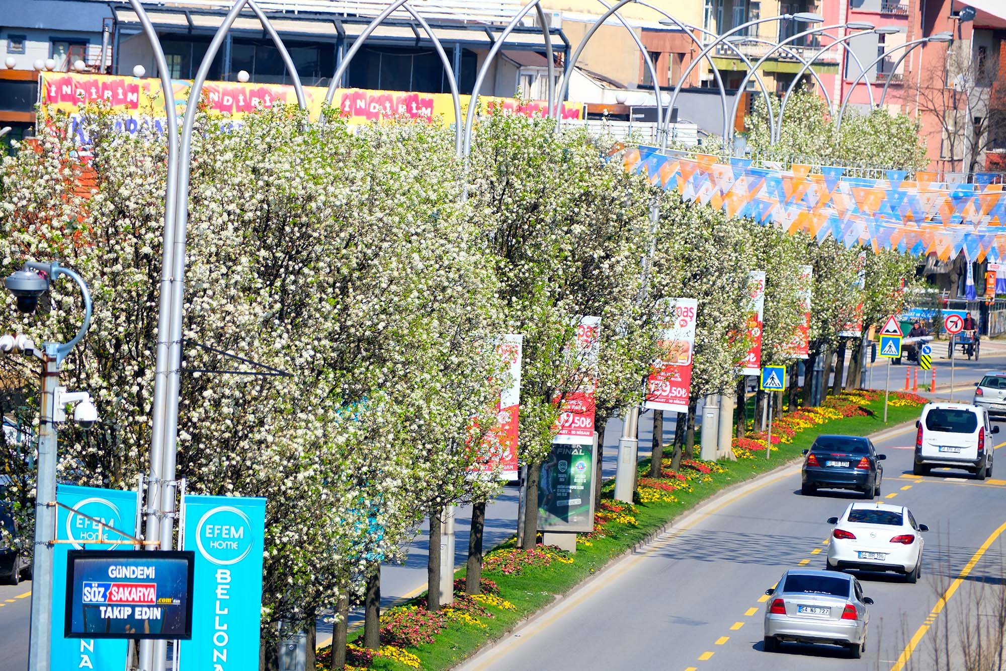 Sakarya’da baharın büyüleyici cümbüşü