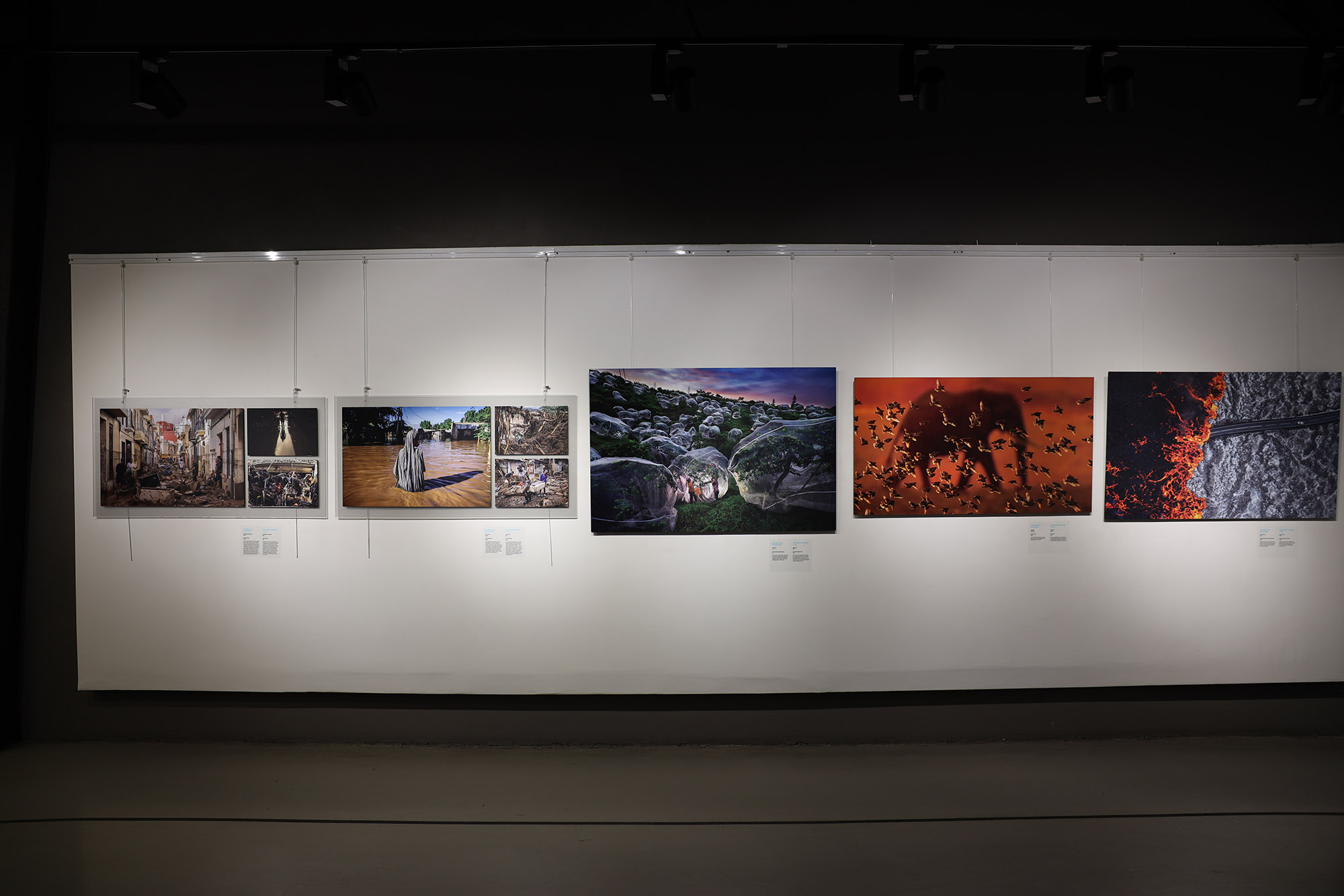 Dünyanın hafızası Sakarya’da buluştu