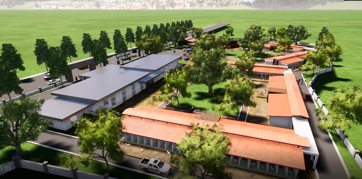 Sokak Hayvanları Rehabilitasyon Merkezi ihaleye çıkıyor