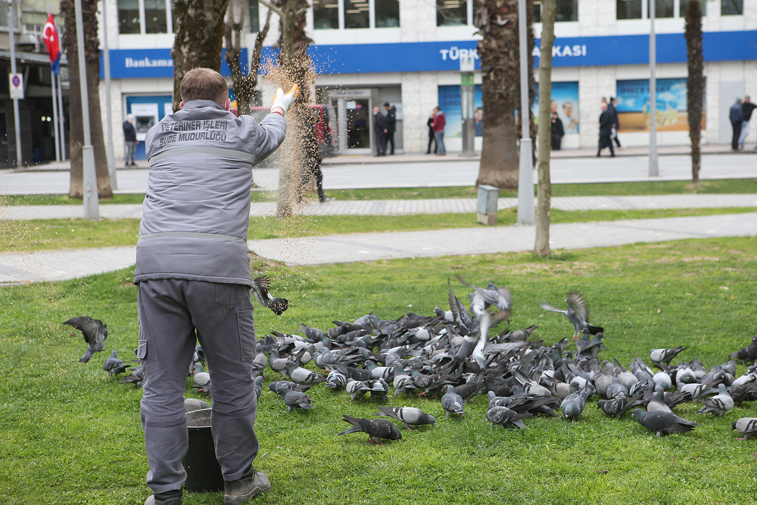 Şehir kuşlarına Büyükşehir desteği