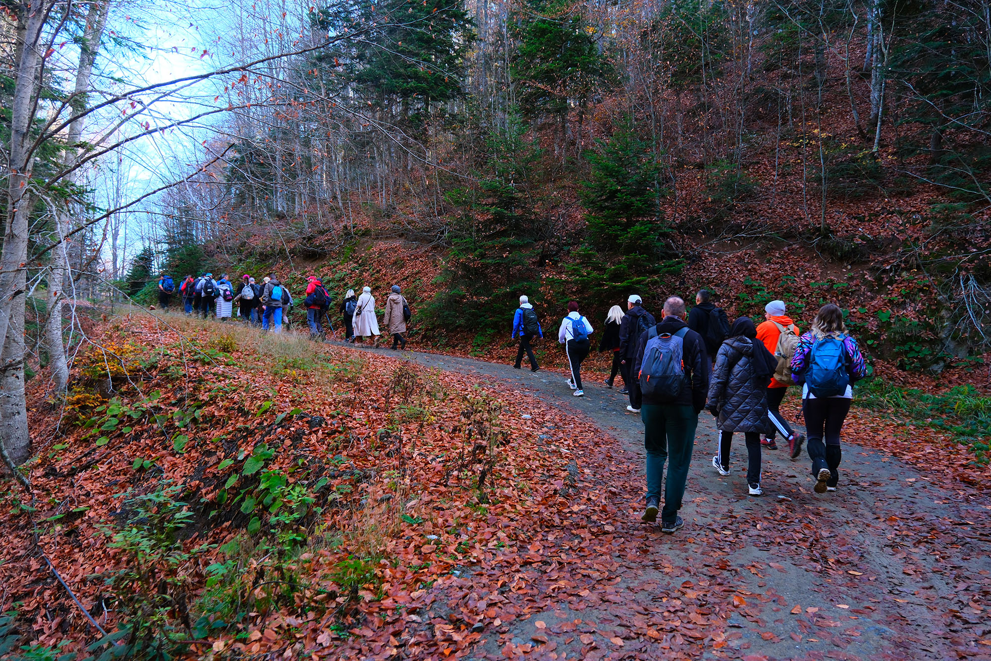 Sonbaharın büyüleyici renkleri arasında 14 kilometrelik unutulmaz rota
