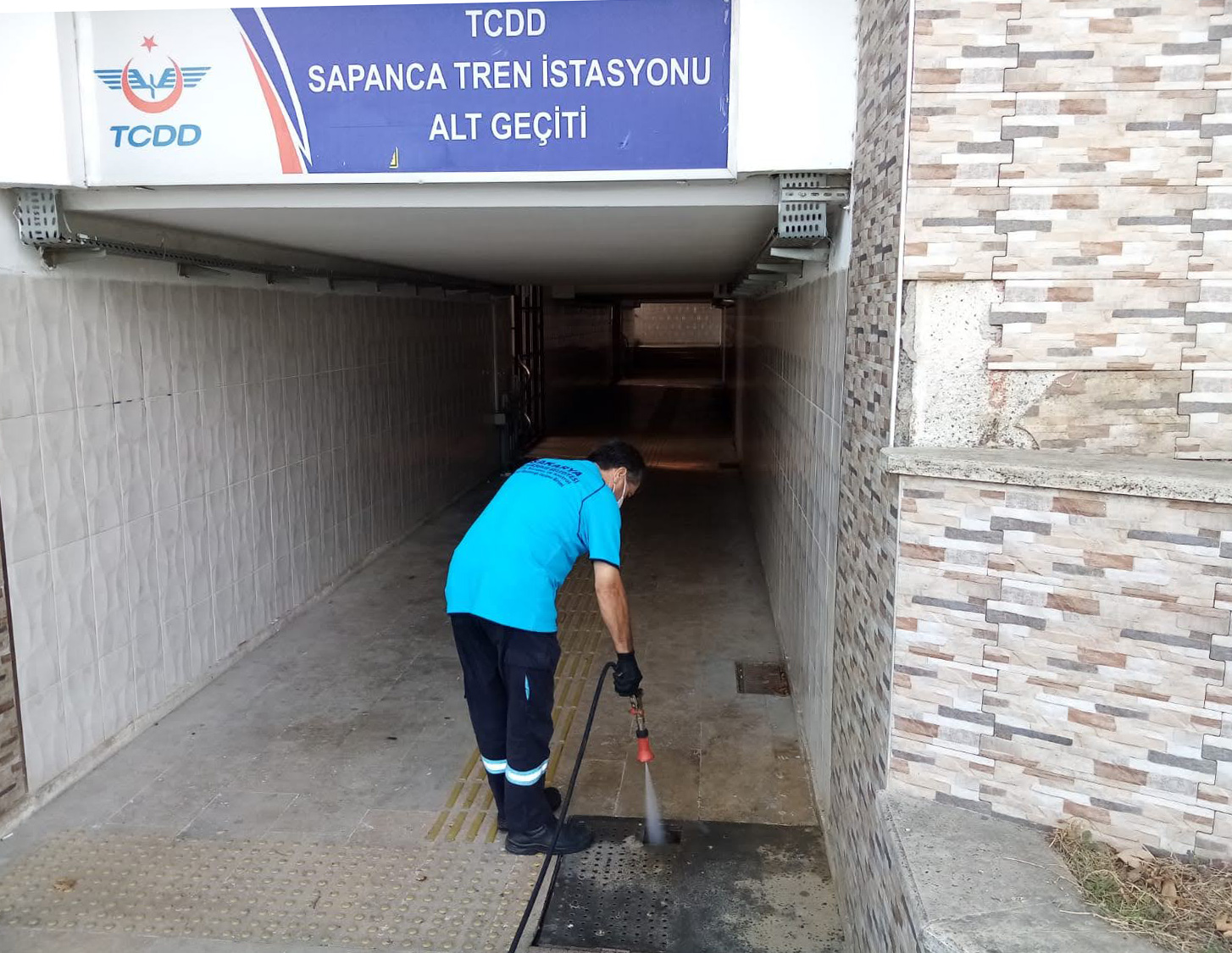 Sapanca’da Asya Kaplan Sivrisineğine karşı mücadele