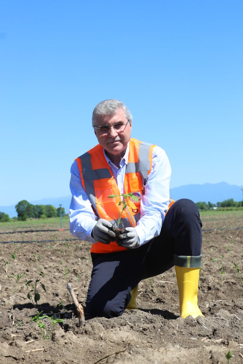 Ata Tohumları toprakla buluşturuldu