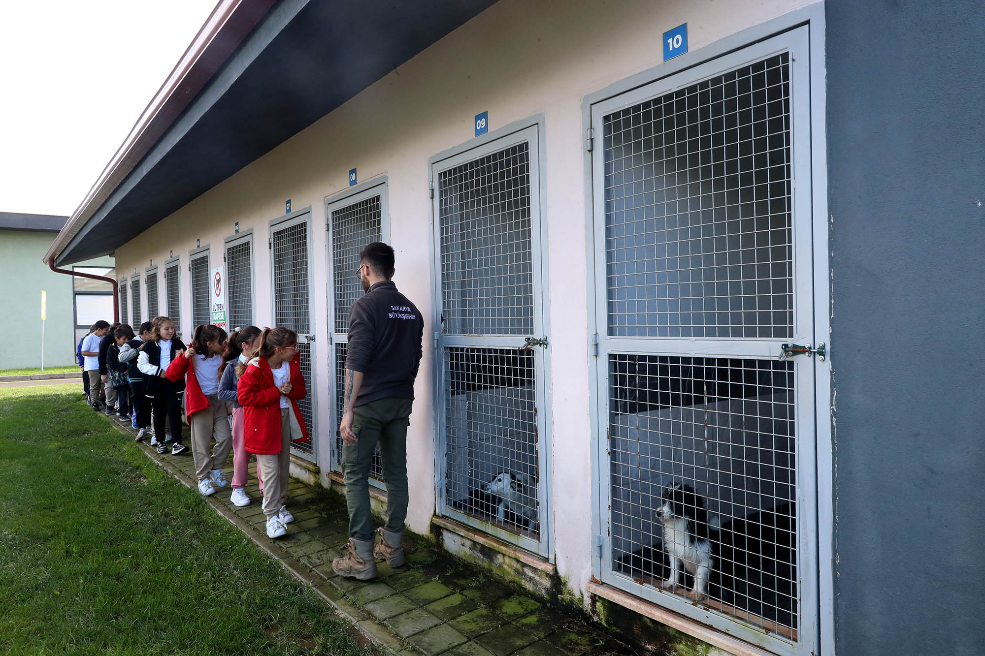 Büyükşehirle unutulmaz bir gün: Can dostların yaşam serüveni, bir yudum suyun önemi ve maceraya yolculuk