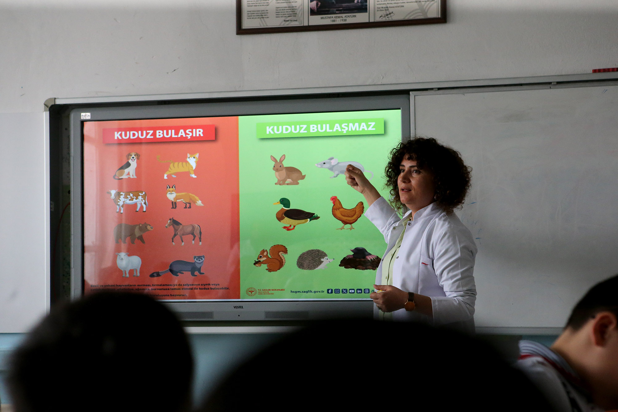 Sizi kuduz tehlikesinden uzaklaştıracak altın kurallar