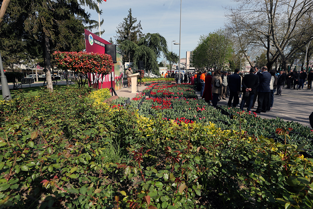 Bu Kış da Sakarya Ayrı Bir Güzel Olacak