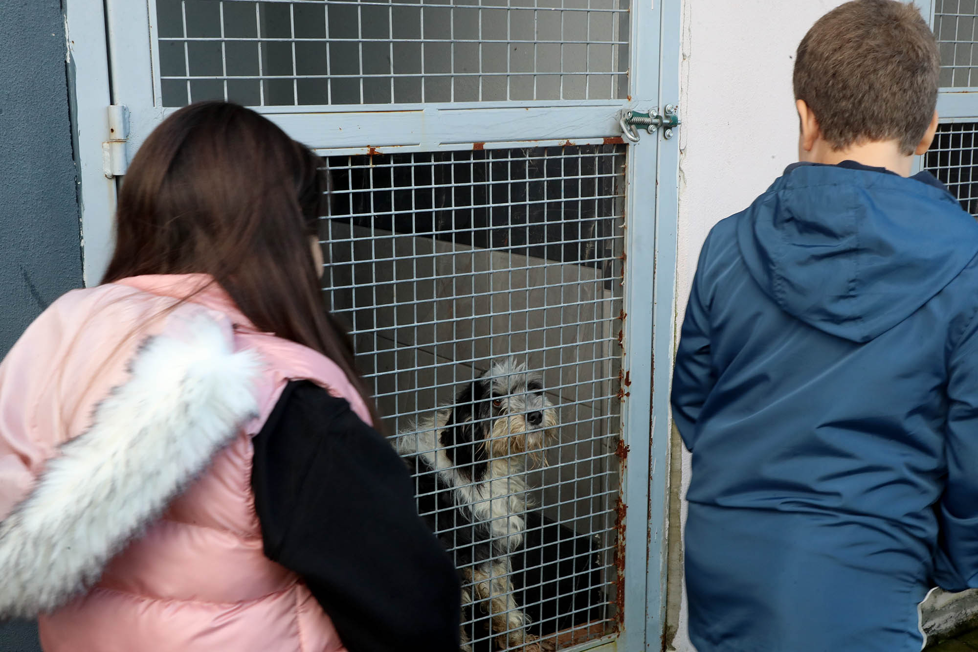 Büyükşehirle unutulmaz bir gün: Can dostların yaşam serüveni, bir yudum suyun önemi ve maceraya yolculuk
