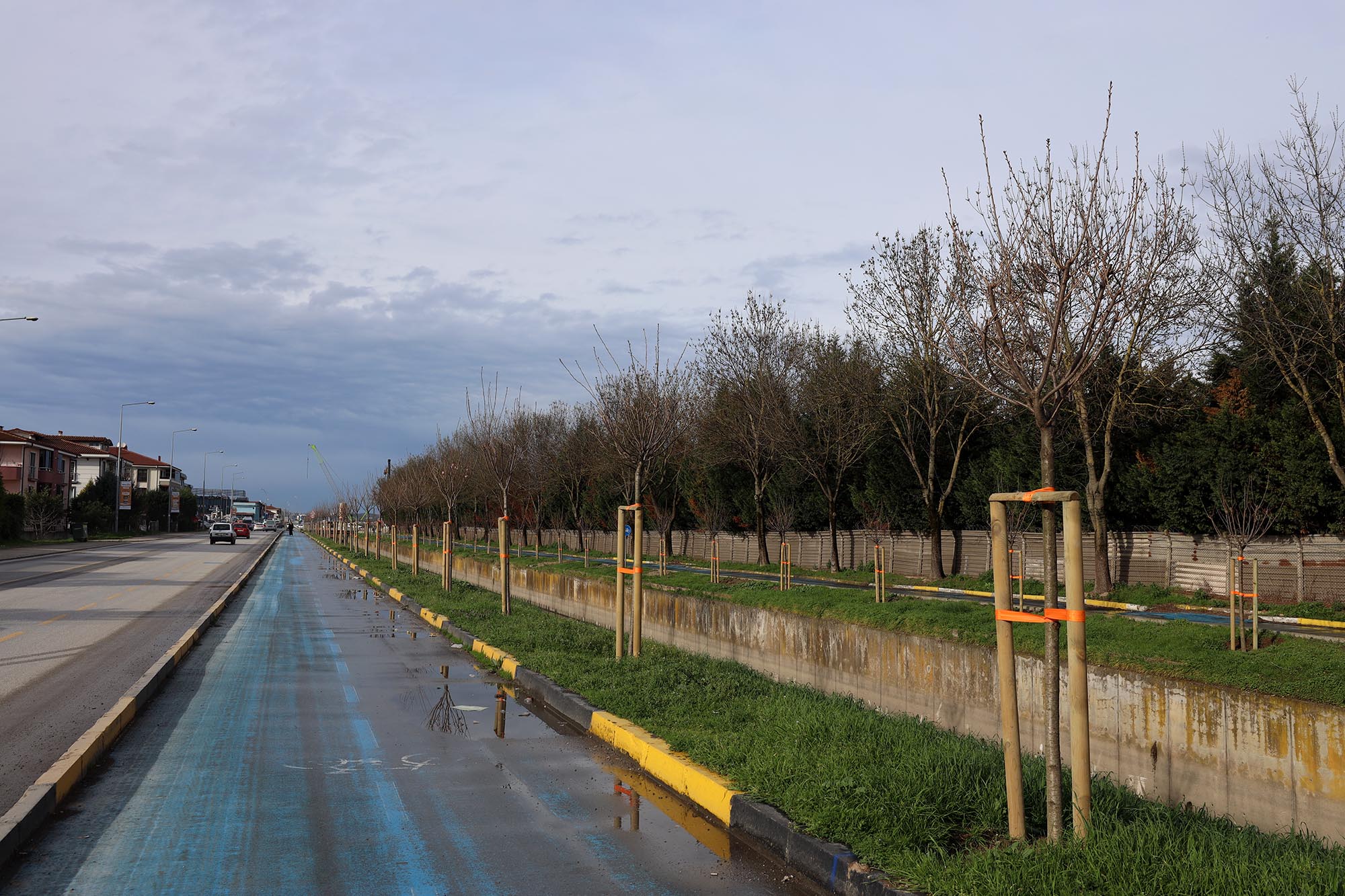 Büyükşehir’in ‘Yeşil Şehir’ vizyonu sahada: 3 ayda 2 bin 500 ağaç toprakla buluştu