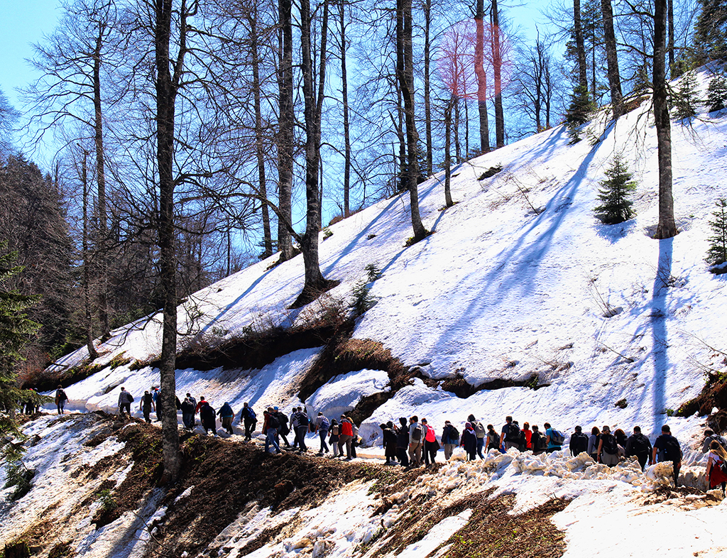 Doğaseverler Büyükyayla’daydı