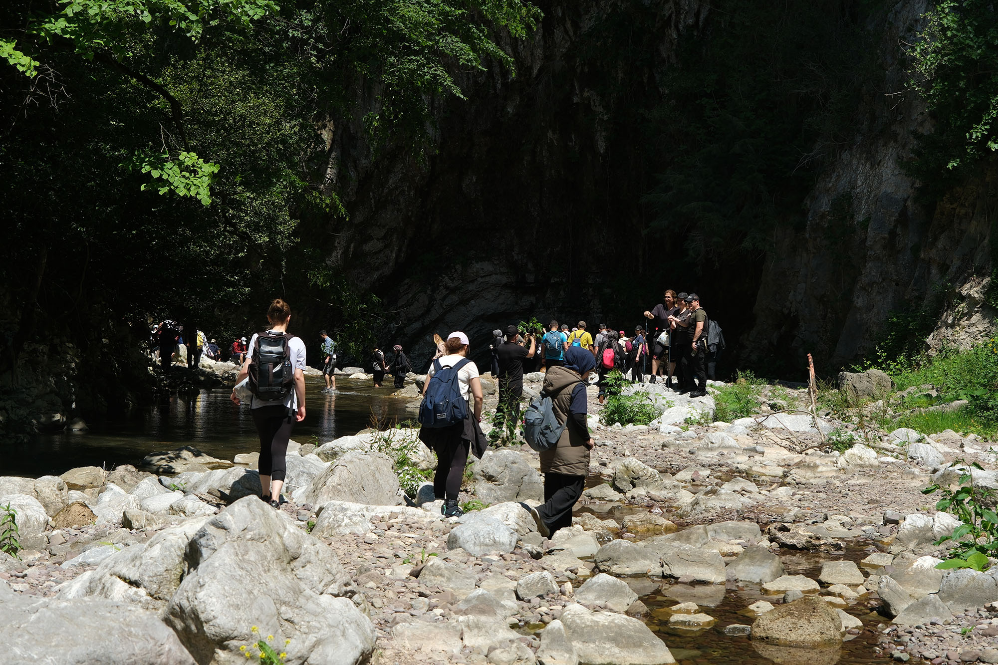 Türkiye’nin yeşil cenneti içinde büyüleyici bir yolculuk: Geriye masal gibi fotoğraflar kaldı