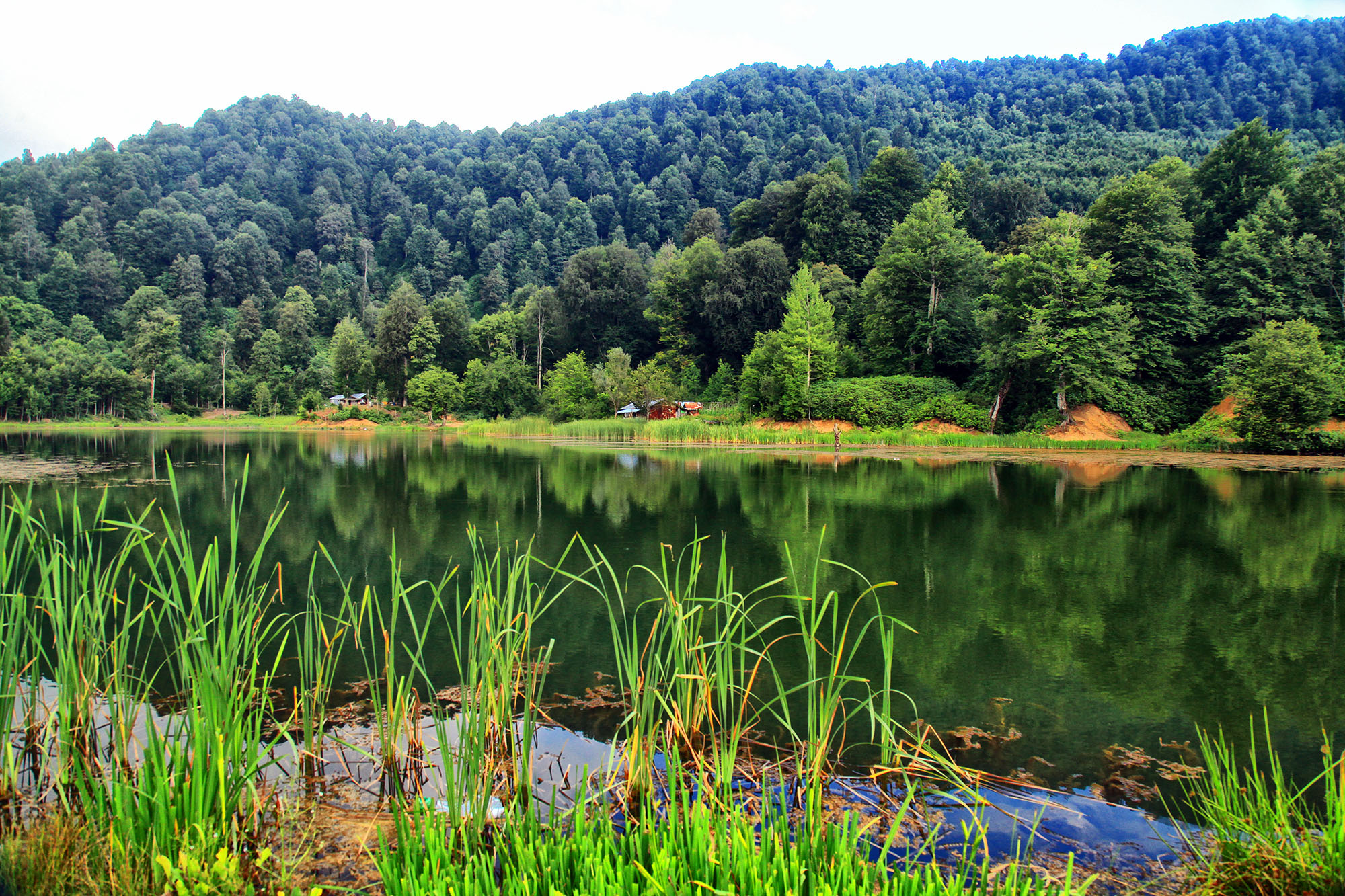 Sakarya’da doğa tutkunlarının beklediği takvim geldi: Baharı muhteşem manzarayla karşılayacaklar…