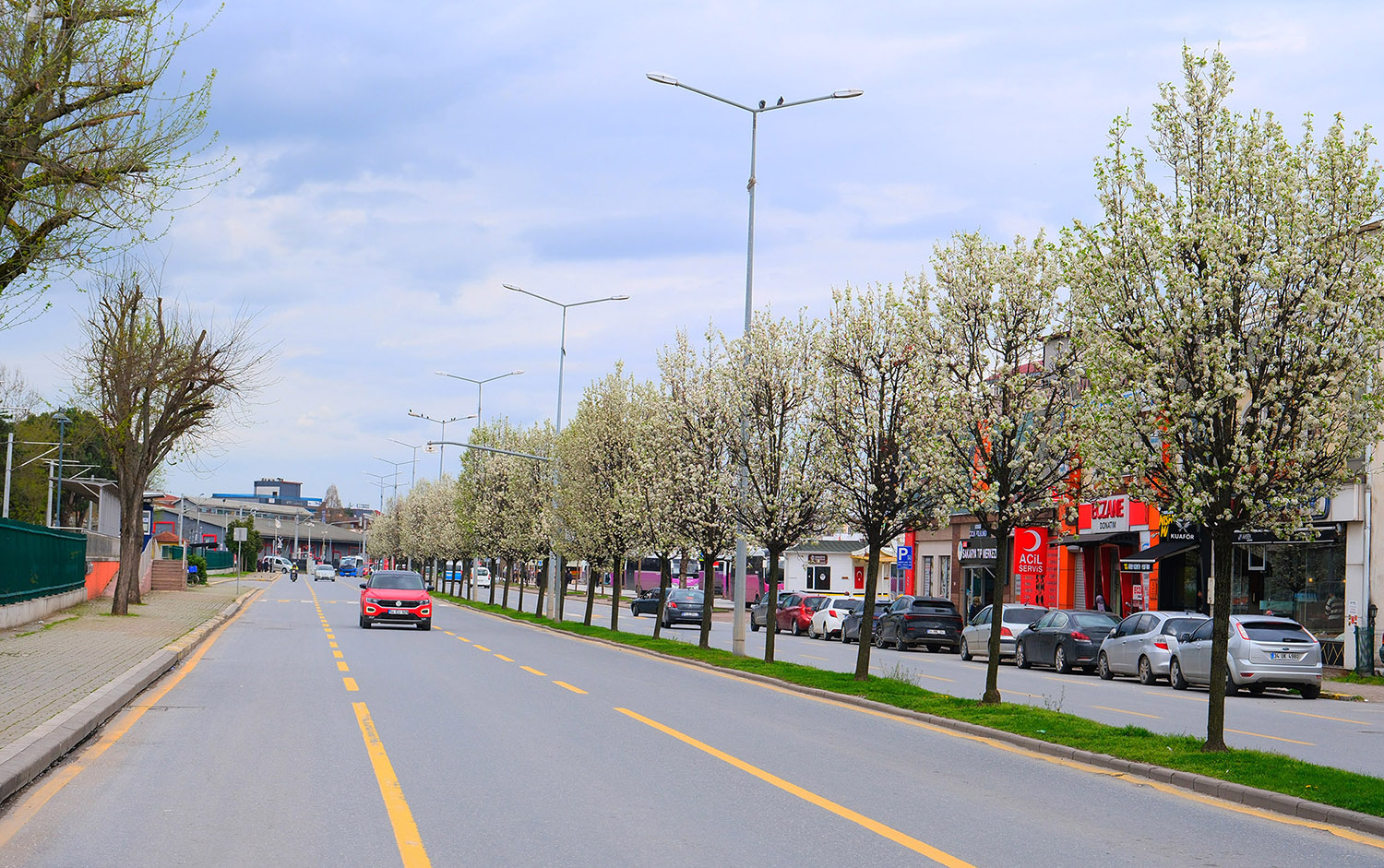Sakarya’da baharın büyüleyici cümbüşü