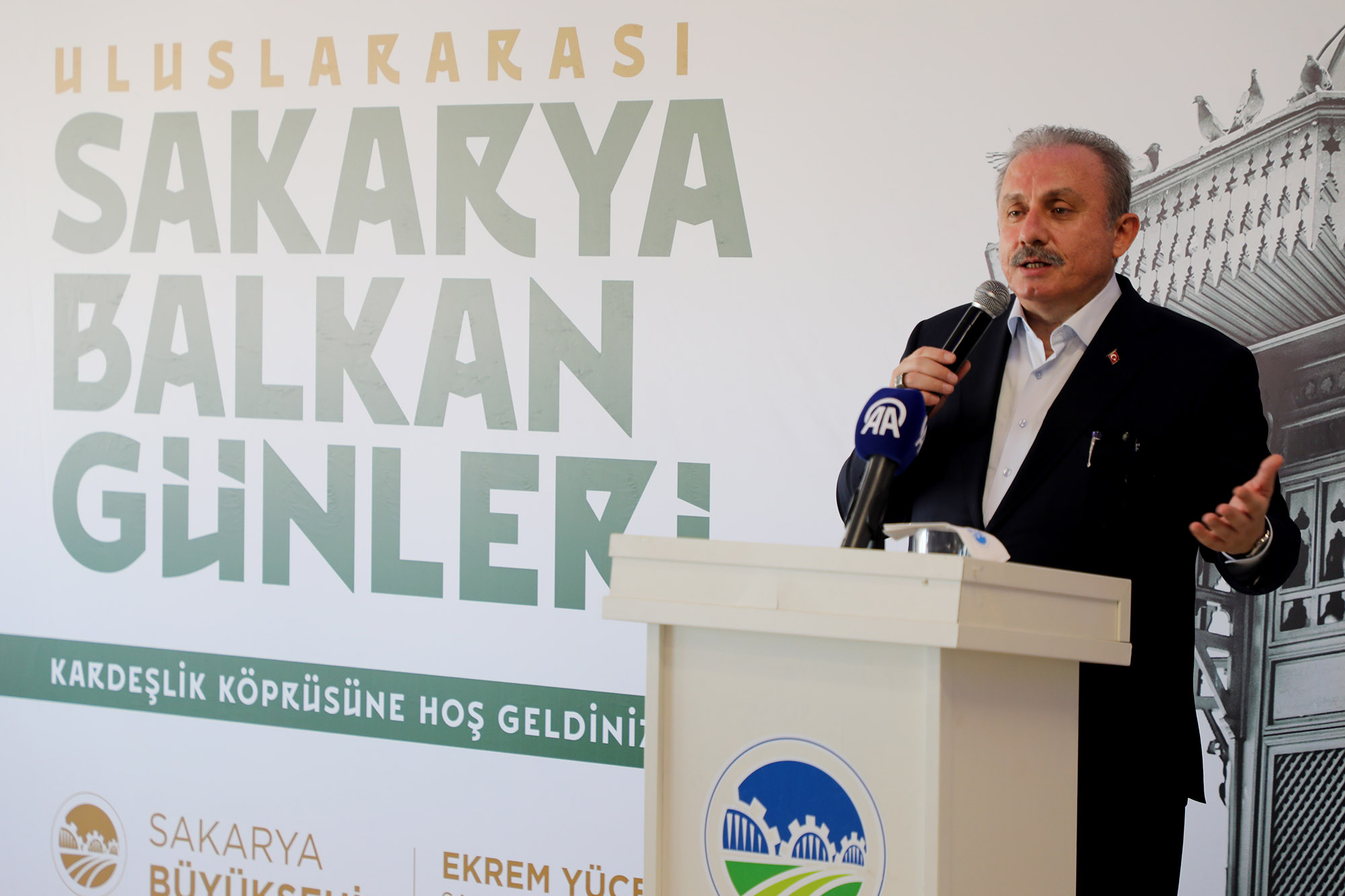  Sakarya Balkan coğrafyasına kucak açtı: “Sizin büyük ülkeniz Türkiye Cumhuriyeti’dir”