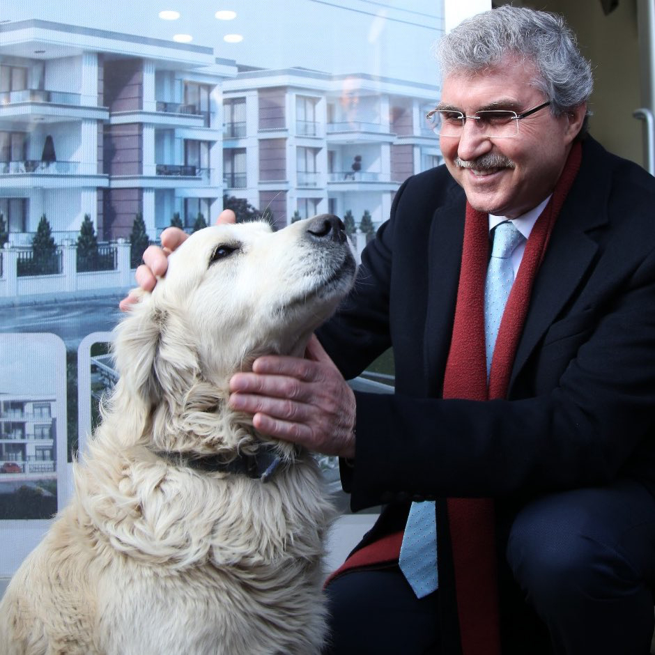 Sokak Hayvanları Rehabilitasyon Merkezi ihaleye çıkıyor