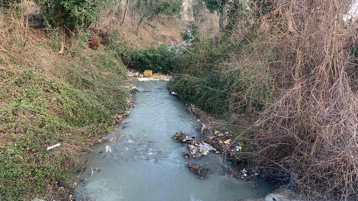 Sapanca’yı besleyen dereler temiz akıyor