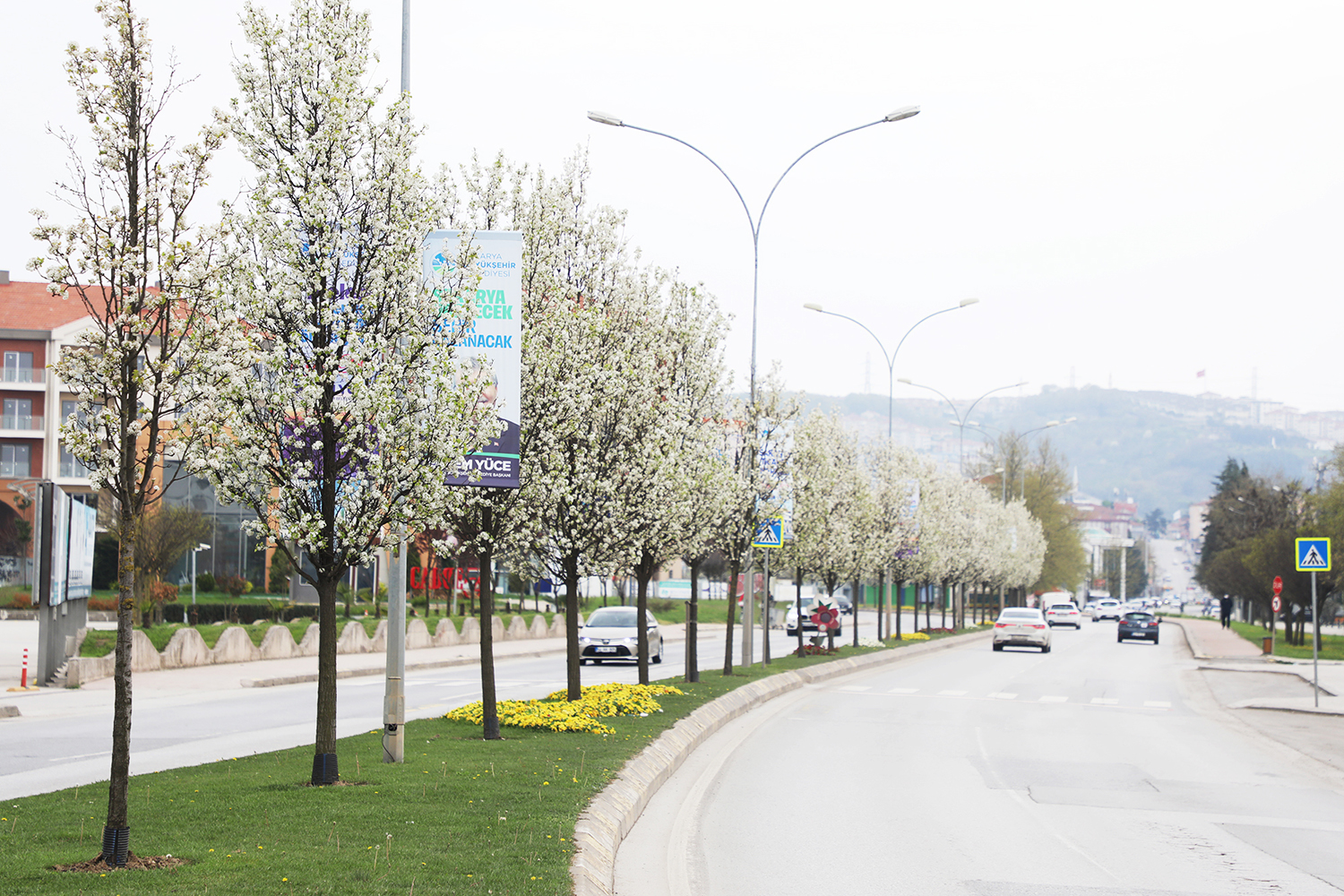 Peyzaj uygulamaları şehre estetik katacak