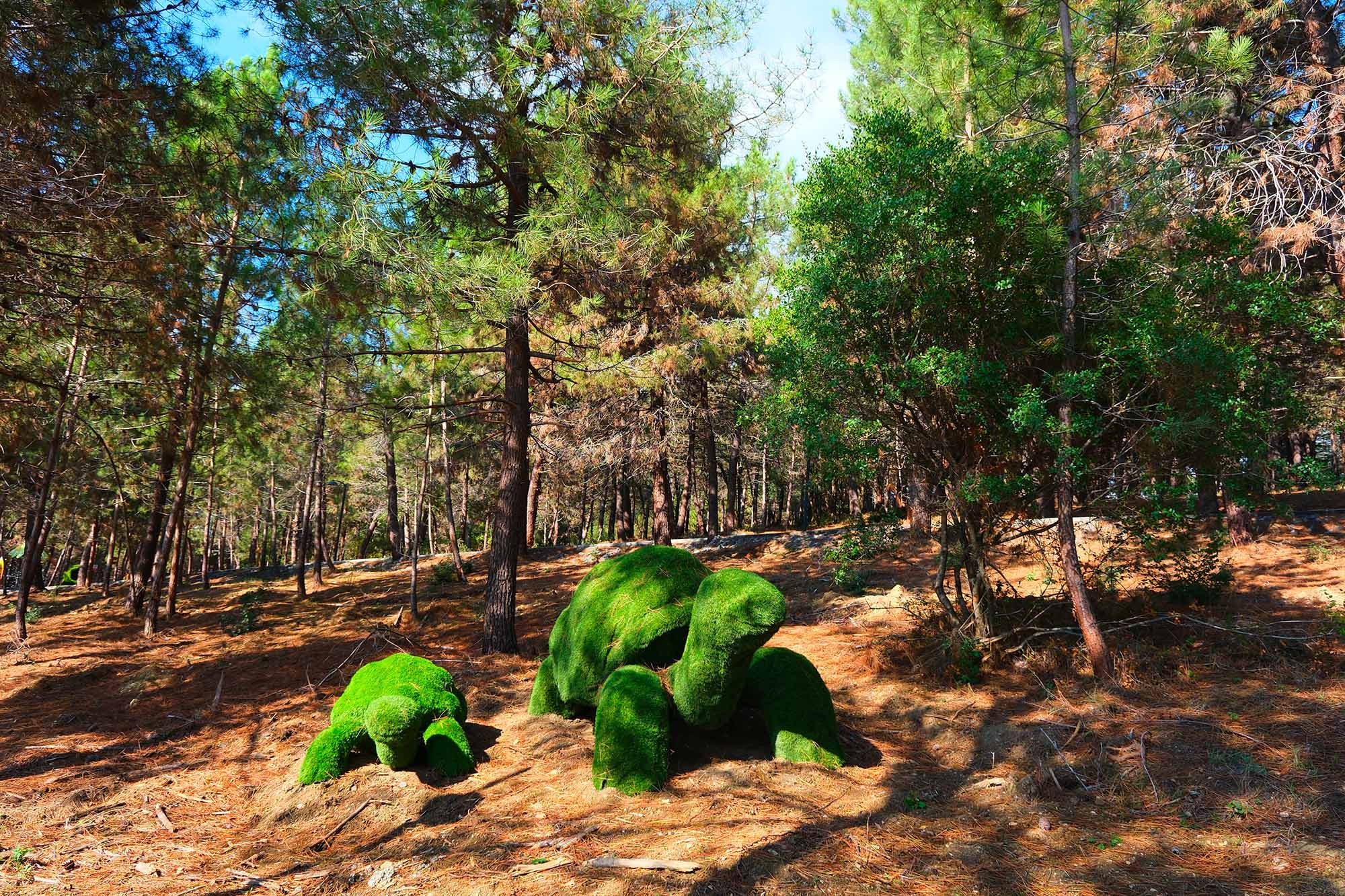 Sapanca Gölü kıyısında ‘huzur veren’ doğa projesi kapılarını açtı
