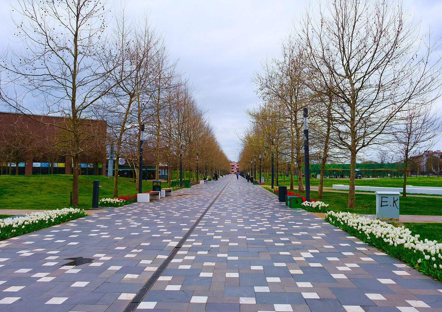 Sakarya’da baharın büyüleyici cümbüşü