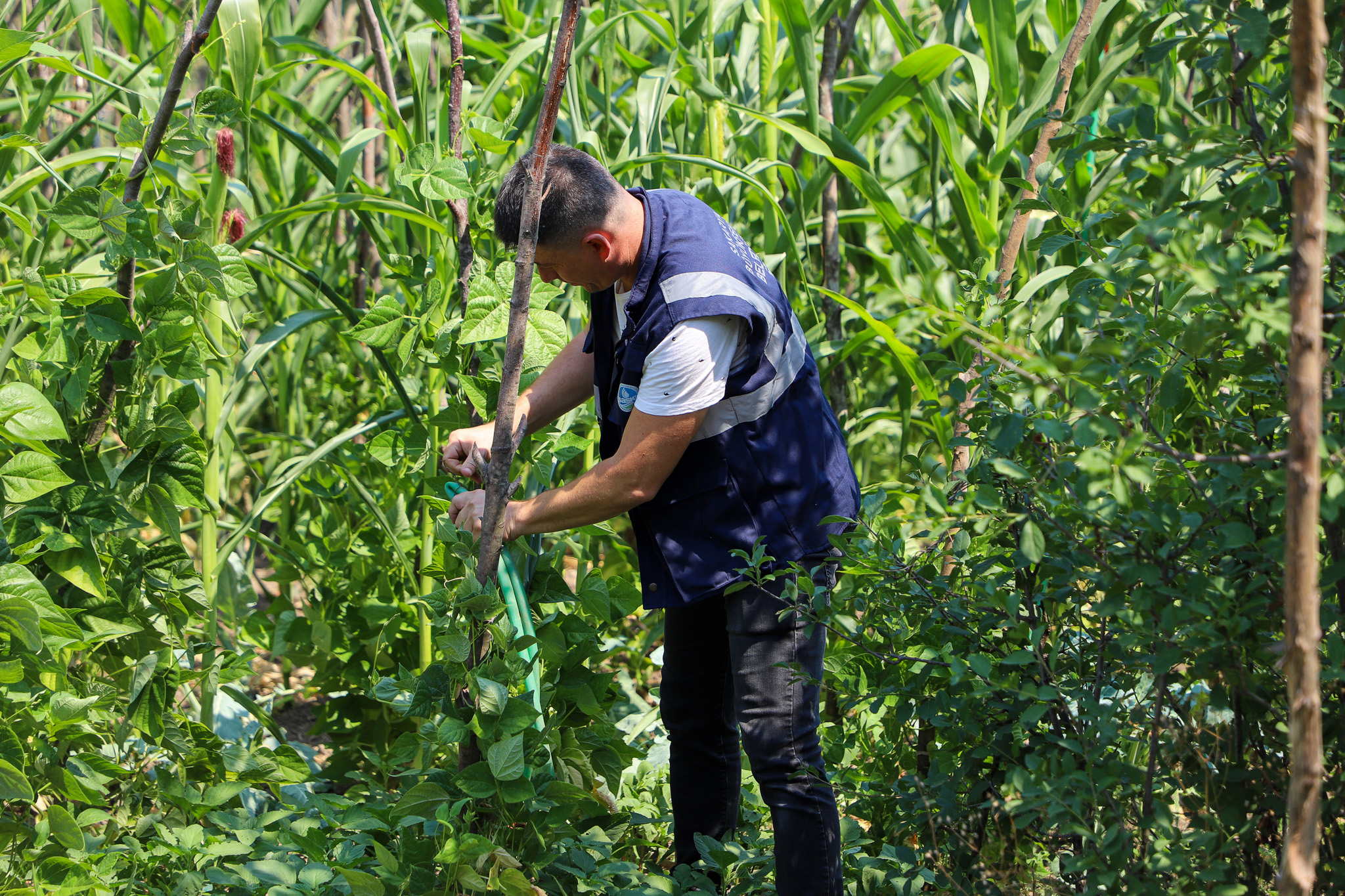 Kesintilere neden olan kaçak kullanımı engellemek için ekipler 24 saat sahada