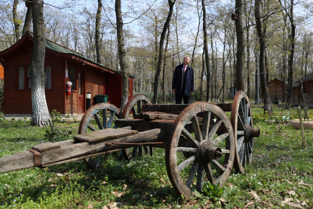 İl Ormanı Tabiat Parkı doğaseverlerin yeni gözdesi olacak