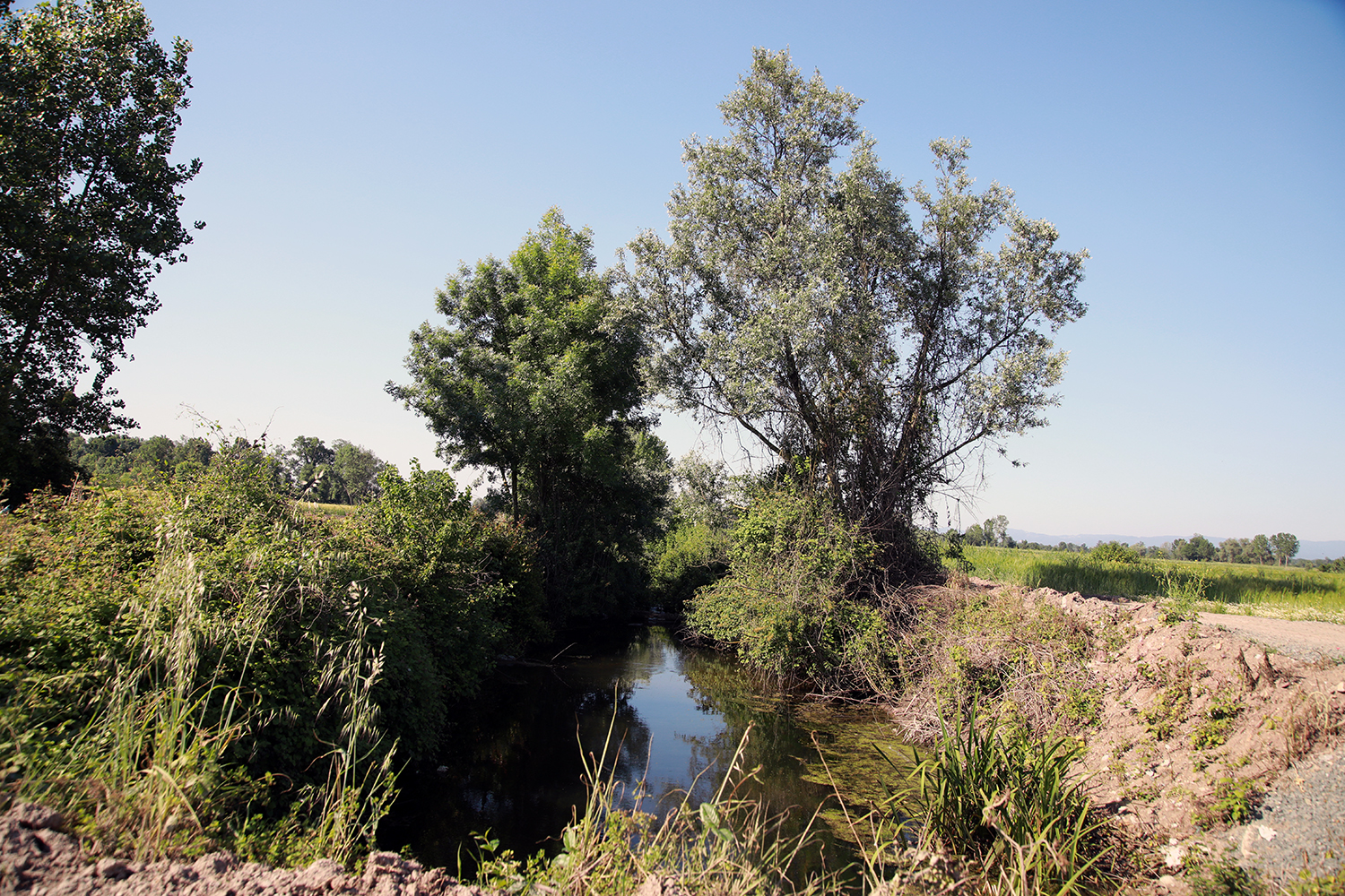 Çiftçilerin yüzü gülüyor