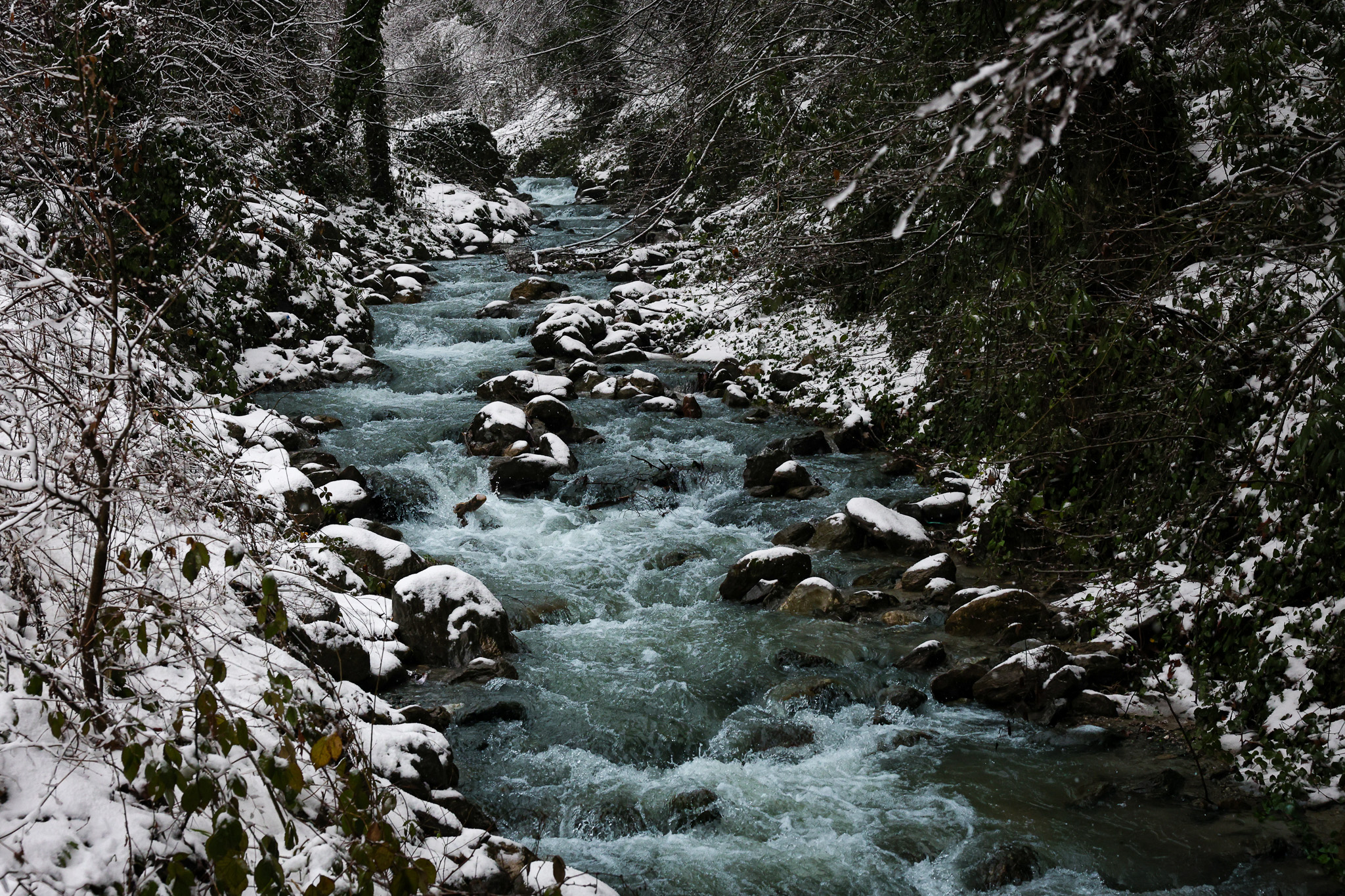 Beyaz örtü Sapanca Gölü’nü besleyen derelere can oldu