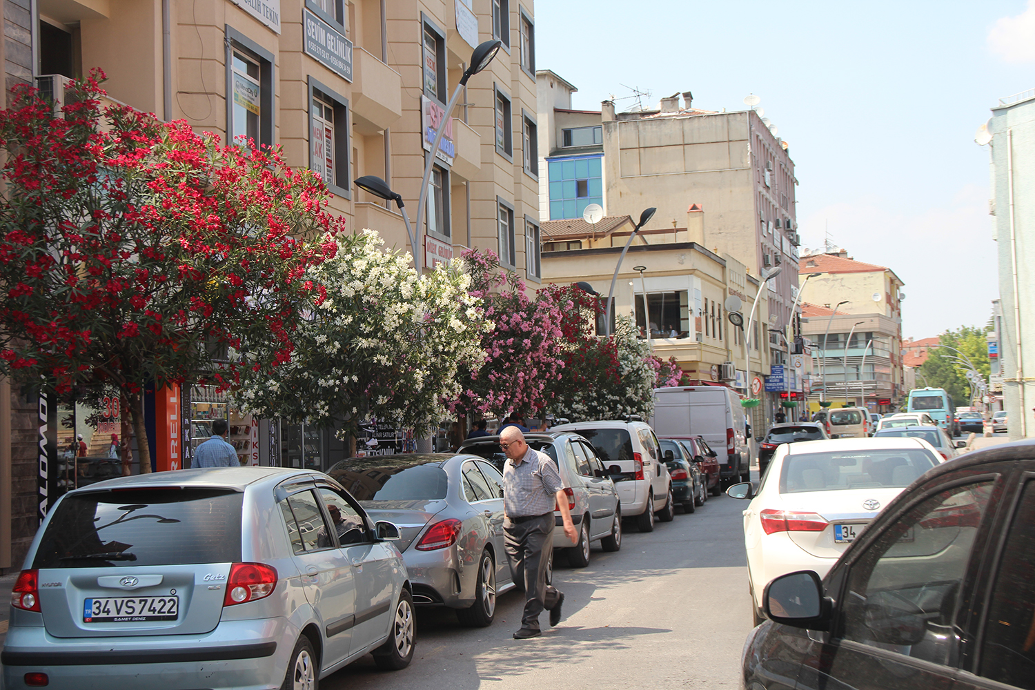 Şehir çiçek açtı