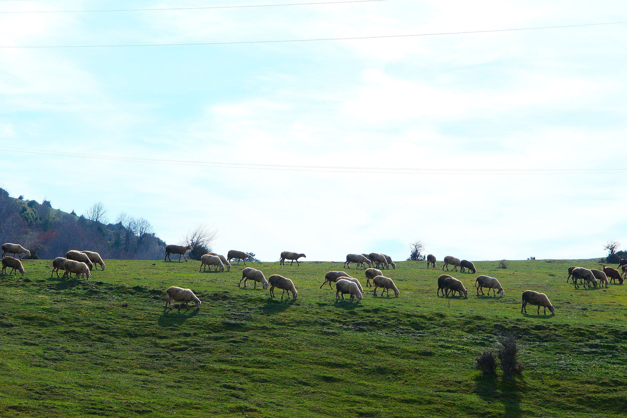 Yaylalardan longoz ormanlarına: Sakarya’da doğayla iç içe sonbahar