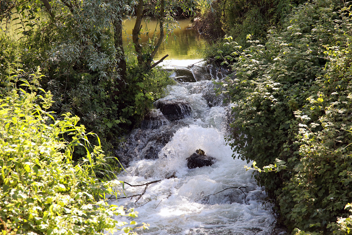 Çiftçilerin yüzü gülüyor