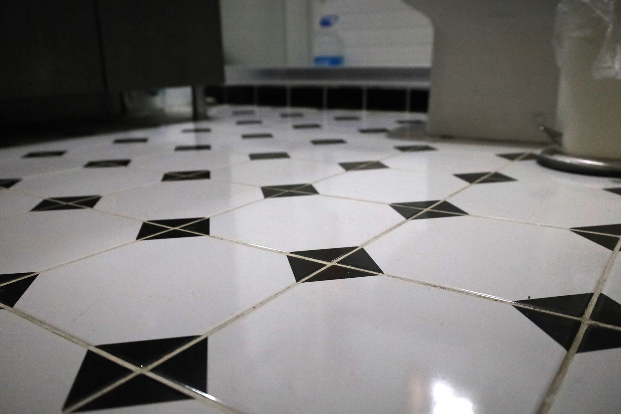 Evi görünce terk etmeyi düşündü: Binlerce kokarcanın istila kabusunu TUTSAK bitirdi