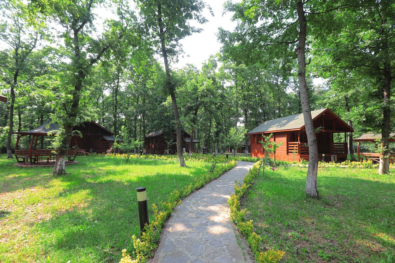 “İl Ormanı Tabiat Parkı ile vatandaşlar doğanın en güzel haliyle buluşacak”