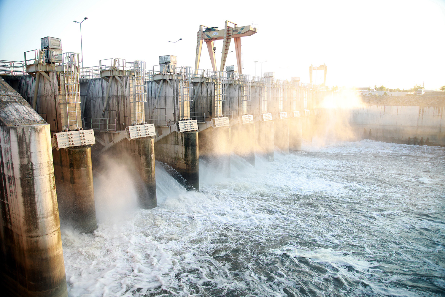 SASKİ 716 bin ağaç dikimine eş değer üretim ile 114 milyon liralık gelir elde etti