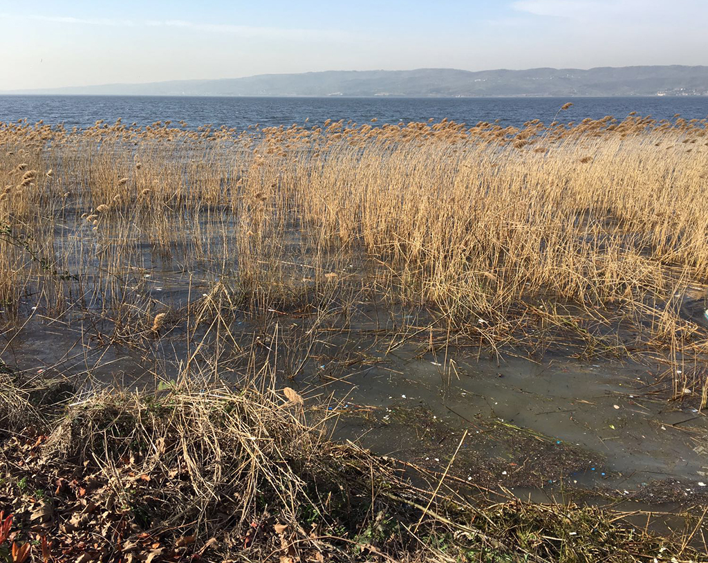 SASKİ Göl Kıyısını Temizliyor