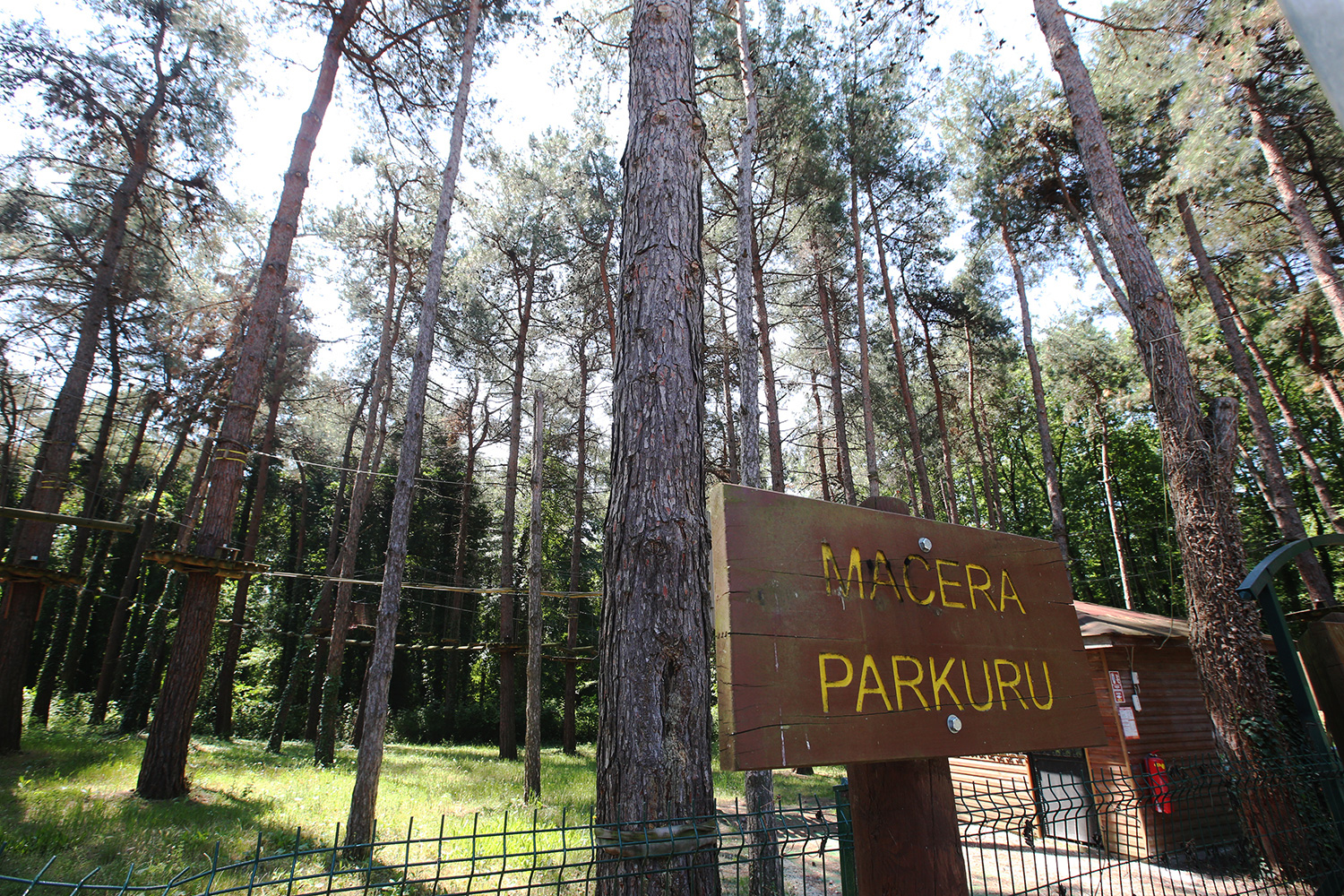 Büyükşehir dokundu, İl Ormanı’nın çehresi değişti