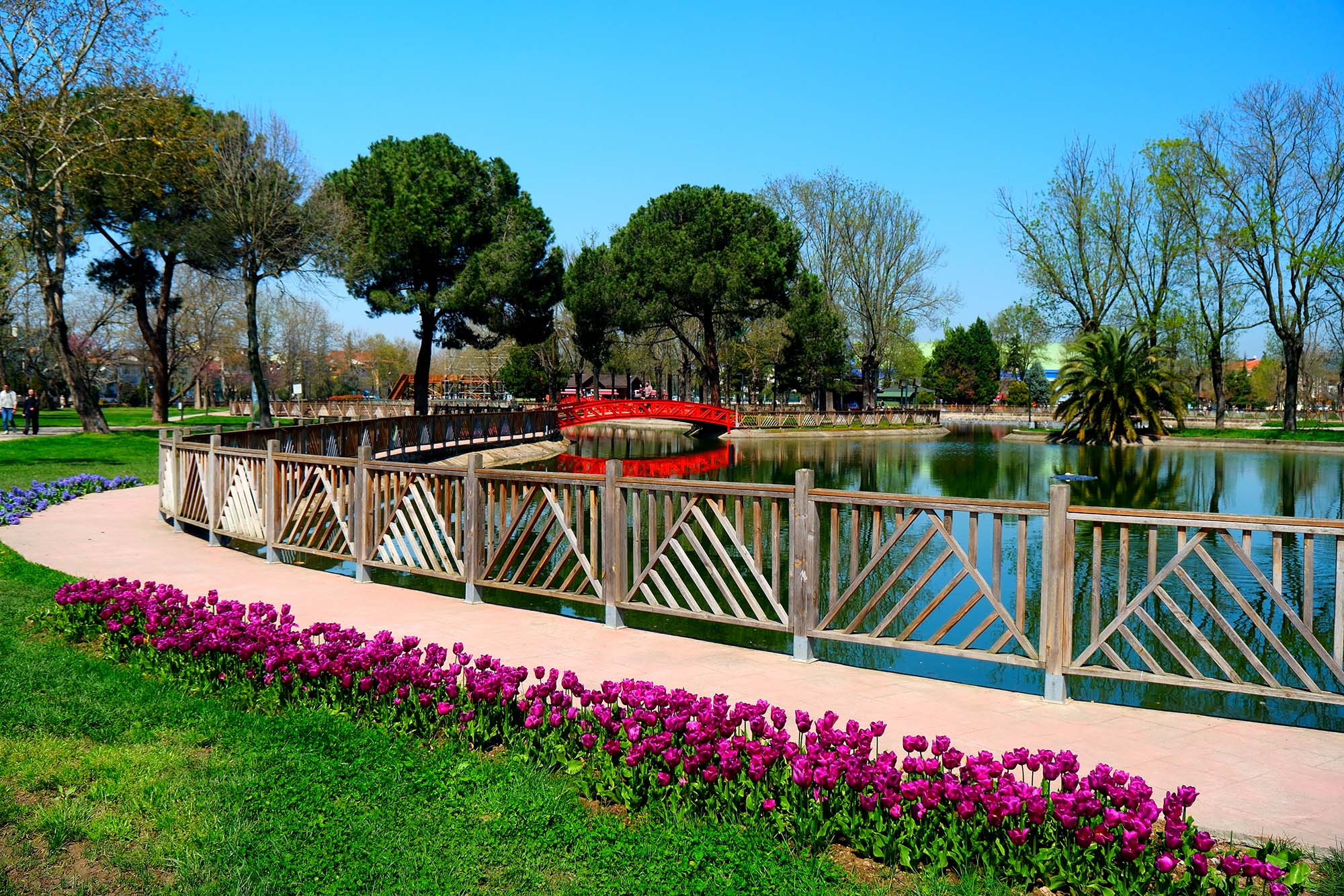 Sakarya’da baharın büyüleyici cümbüşü