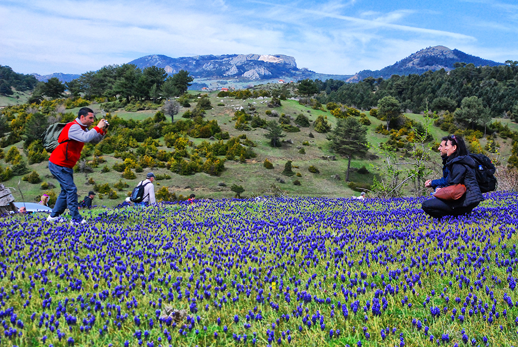 Taraklı’da Bahar Yürüyüşü