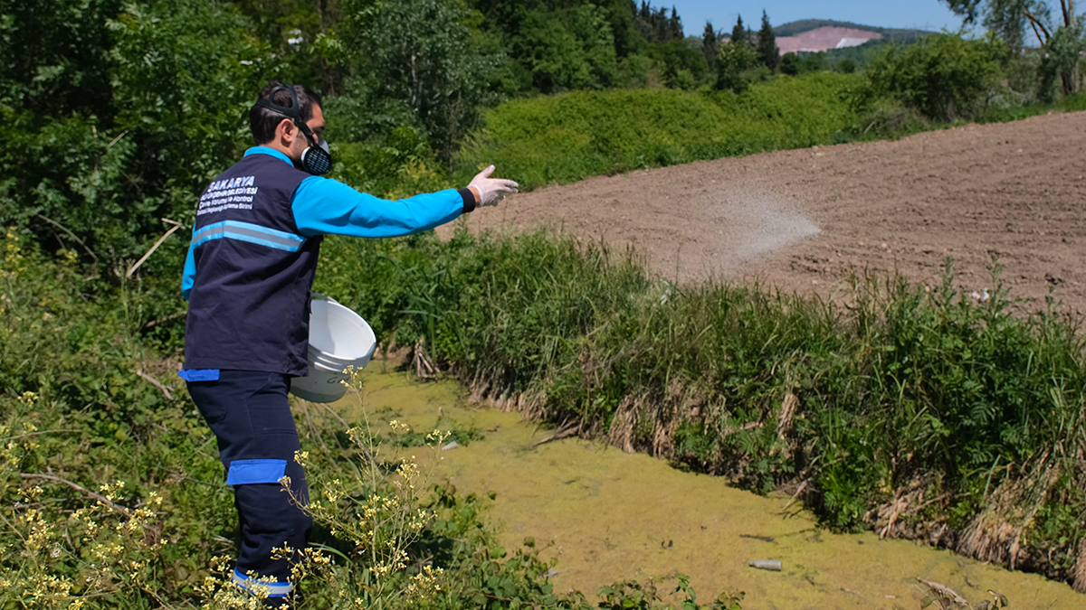 Vektörlerle mücadele ve ilaçlama aralıksız sürüyor