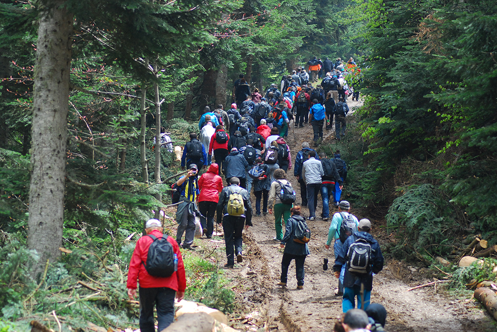 Büyük Yayla’da Yürüdüler