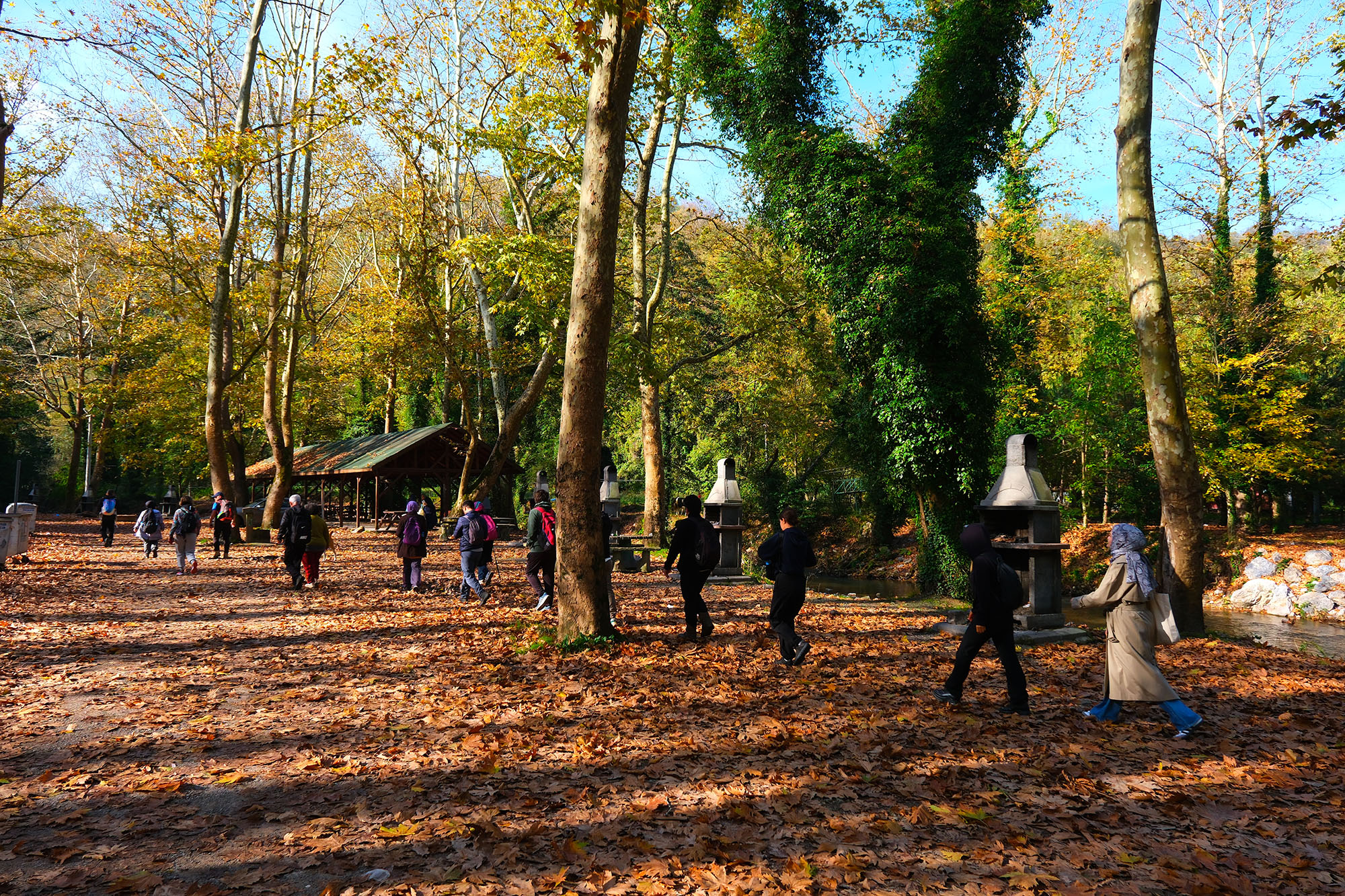 Kuzeyin tabiat harikaları arasında unutulmaz bir sonbahar yürüyüşü