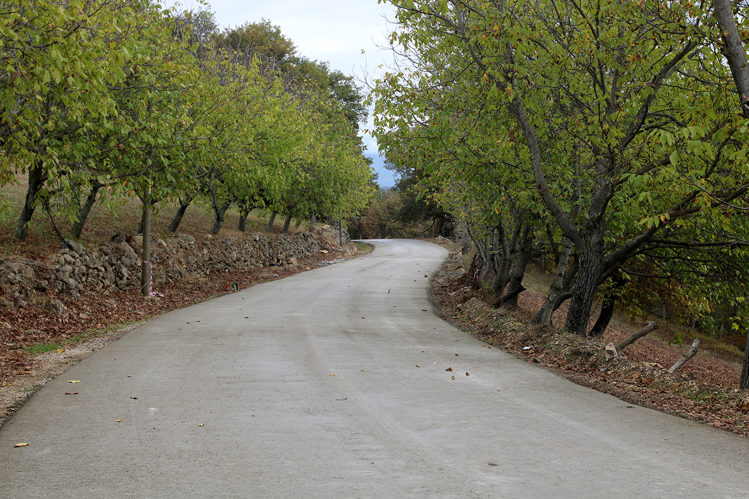 Kırsal mahalleler beton yol ile buluşuyor