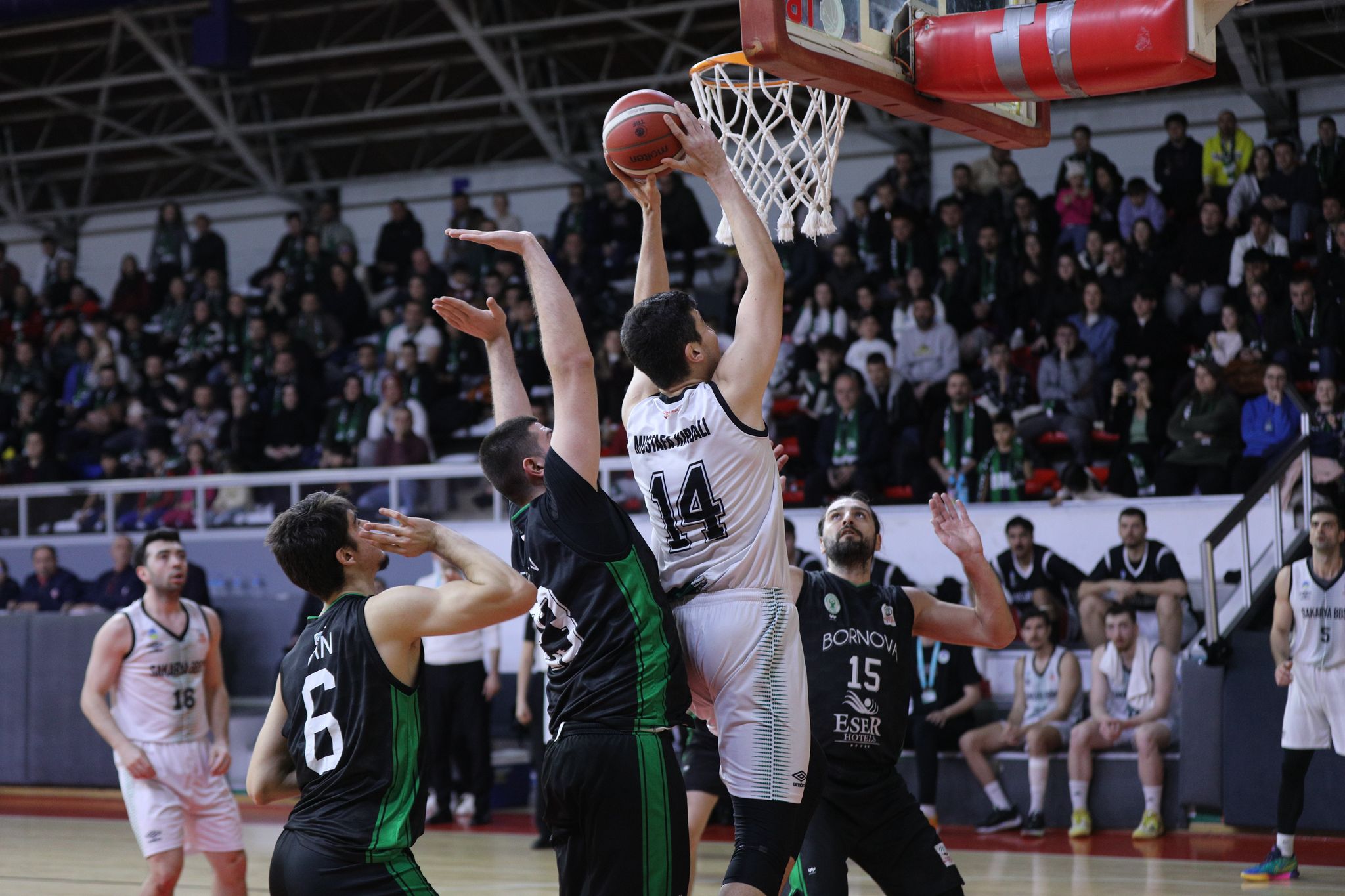 Büyükşehir Basketbol tur için parkeye çıkıyor: Haydi şimdi destek zamanı